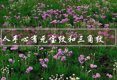 女人手心有元宝纹和三角纹，元宝纹、三角纹、结语