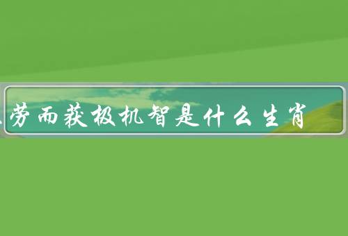 不劳而获极机智是什么生肖（聪明才智／机智灵活／轻松达成目标）