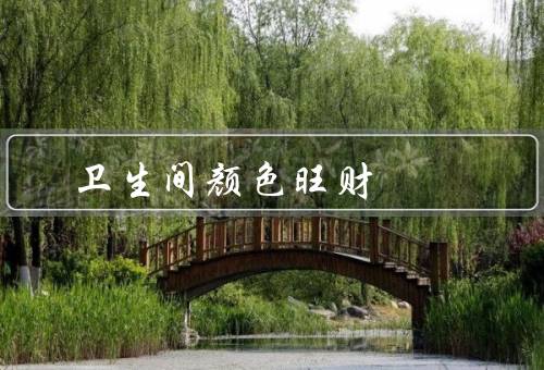 卫生间颜色风水旺财，对财运的影响／选择原则／摆放注意事项