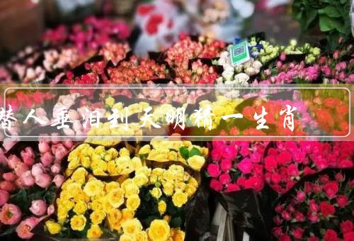 替人垂泪到天明猜一生肖（青春激情／友情和团队合作／坚持与努力）
