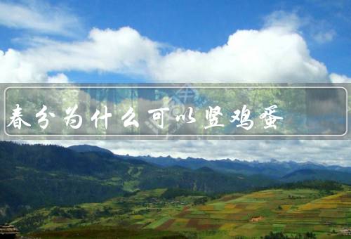 春分为什么可以竖鸡蛋，科学原理／竖立技巧／文化象征