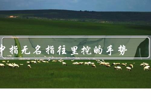 中指无名指往里挖的手势（手势的含义、文化背景、使用建议）