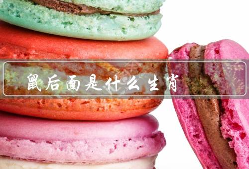 鼠后面是什么生肖（牛、虎、兔）
