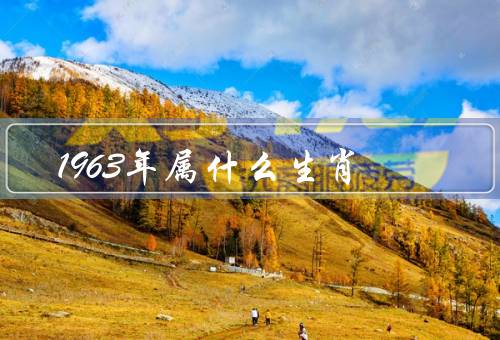 1963年属什么生肖（特点、运势、幸运颜色和幸运数字）