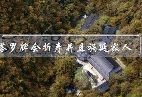 玩塔罗牌会折寿并且祸延家人，塔罗牌的神秘力量