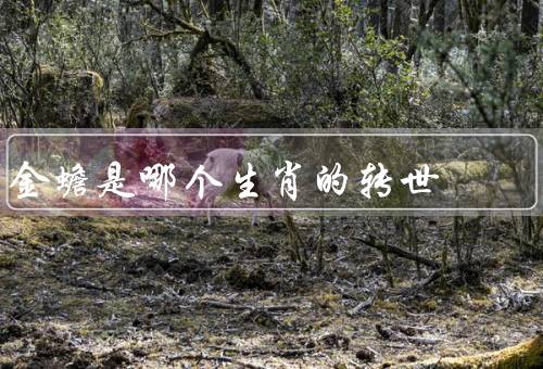 金蟾是哪个生肖的转世，来历／象征意义／形象特征
