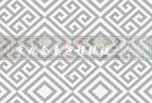 李兆会妻子程媛媛，背景／辅助作用／家庭角色