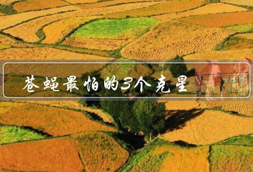 苍蝇最怕的3个克星（蜘蛛／捕蝇草／香蕉皮）