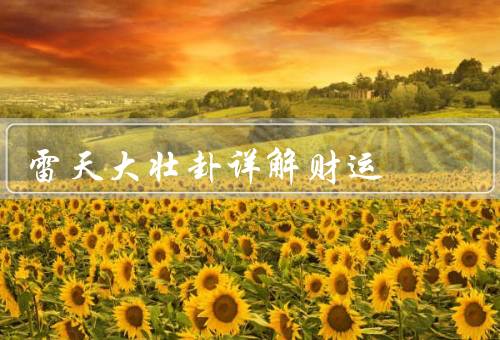 雷天大壮卦详解财运，财运亨通／风险／机遇