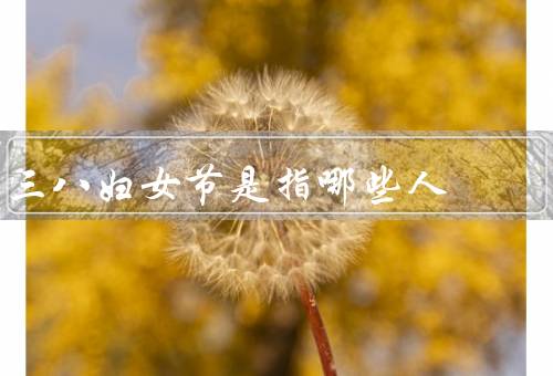 三八妇女节是指哪些人，权益保护／性别平等推动／发展支持