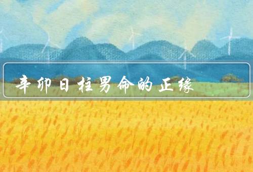 辛卯日柱男命的正缘，正缘的特点／适合的女性／缘分的重要性