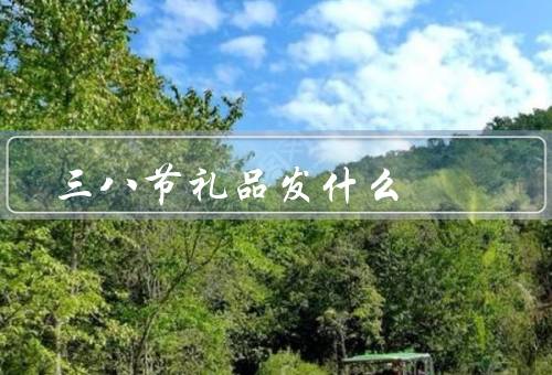 三八节礼品发什么，美妆护肤品／鲜花／手工艺品