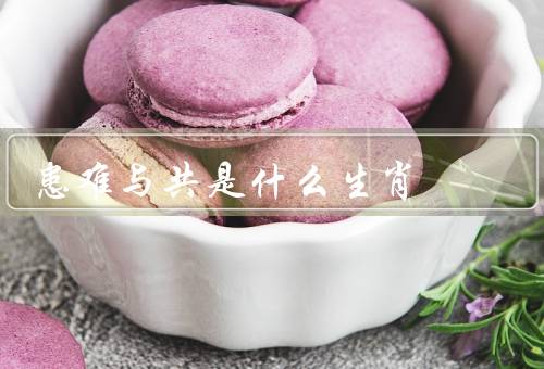 患难与共是什么生肖（机智与灵活／乐于助人／创新与进取）