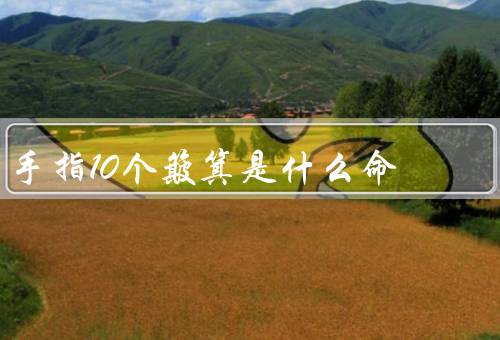 手指10个簸箕是什么命，财富／事业成功／健康和长寿