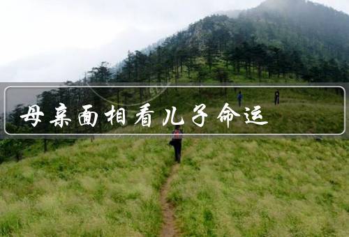 母亲面相看儿子命运（神秘感应、面相与命运关联、期望与关怀）