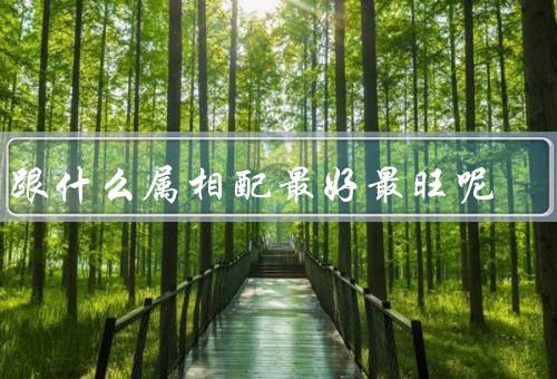狗跟什么属相配最好最旺呢（属鼠／属虎／属兔）