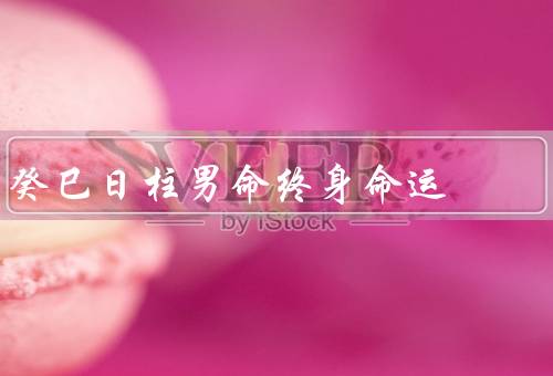癸巳日柱男命终身命运，命运起伏不定／事业发展顺利／感情生活多变