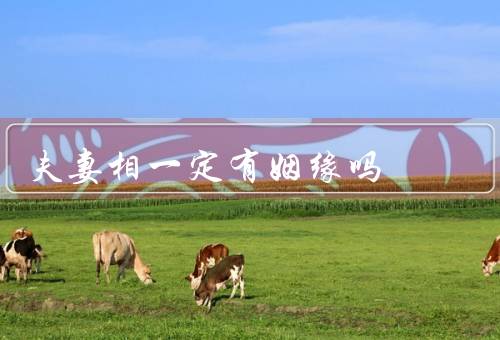夫妻相一定有姻缘吗，含义／一定有姻缘的观点