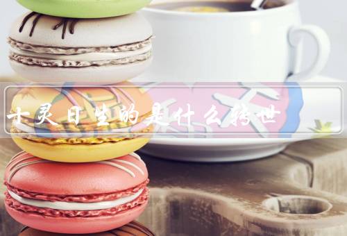 十灵日生的是什么转世，含义／仪式／意义