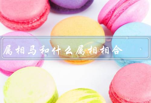 属相马和什么属相相合，属鼠相合、属龙相合、属猴相合