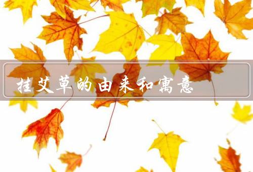 挂艾草的由来和寓意（起源、习俗、寓意）