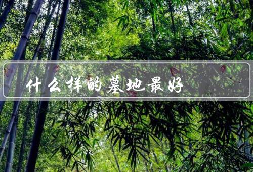什么样的墓地风水最好（坟墓位置、形状、环境）