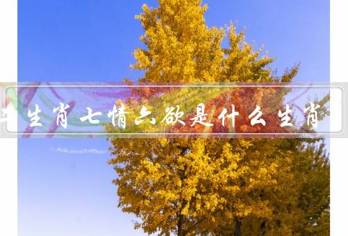 十二生肖七情六欲是什么生肖（七情／六欲／十二生肖）