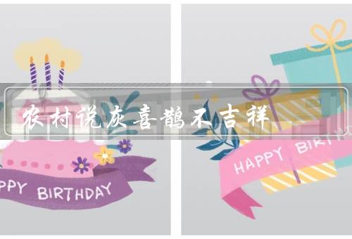 农村说灰喜鹊不吉祥，农作物害虫／叫声令人不悦／习性与凶鸟类似