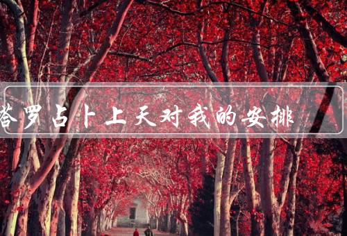 塔罗占卜上天对我的安排（塔罗牌的启示／命运的安排）