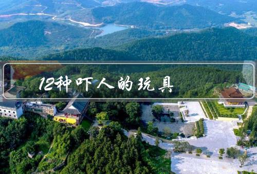 12种吓人的玩具，咯咯笑娃娃／血腥手指／骷髅扑克牌