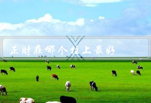 正财在哪个柱上最好（正财最好的柱位、摆放物品的注意事项）