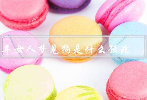中年女人梦见狗是什么预兆，现实生活的困境／未来的不确定感