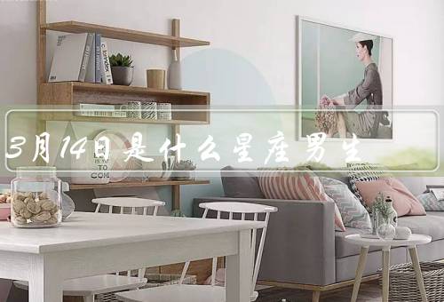 3月14日是什么星座男生，性格特点／爱情观／职业发展