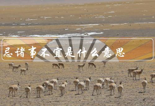 忌诸事不宜是什么意思，起源／实践／意义