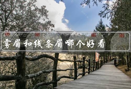 雾眉和线条眉哪个好看（自然度／持久性／适用人群）