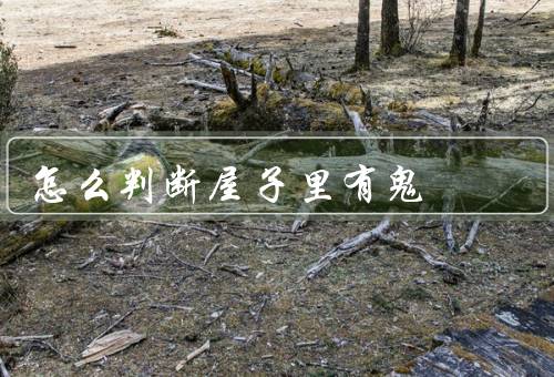 怎么判断屋子里有鬼（感觉到异常的气氛／突然变冷或温度异常）