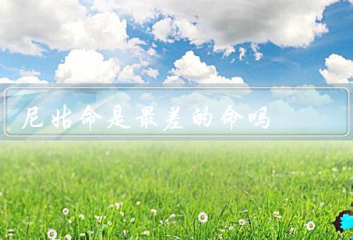 尼姑命是最差的命吗，优点、贡献与影响、幸福与满足