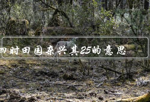 四时田园杂兴其25的意思，四季交替／田园生活／对自然的热爱