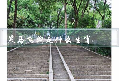 策马飞舆是什么生肖（个性／职业选择）
