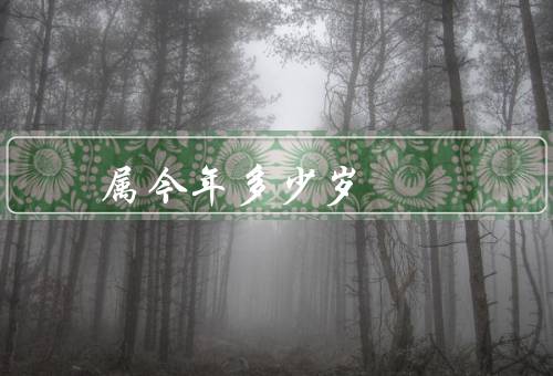 属马的今年多少岁，多少岁、本命年的特点、运势和建议