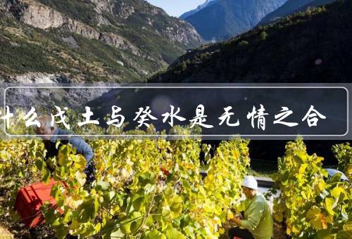 为什么戊土与癸水是无情之合（相互补充、互相感化、共同目标）