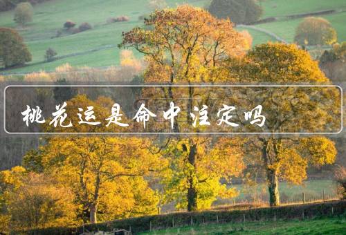 桃花运是命中注定吗，注定性、可改变性、结论