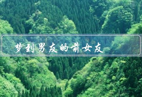 梦到男友的前女友，前女友的影子／未解的情感／自身的不安与嫉妒