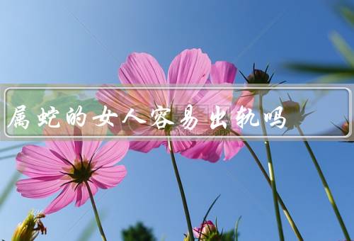 属蛇的女人容易出轨吗（性格特点／人际关系／外部因素）