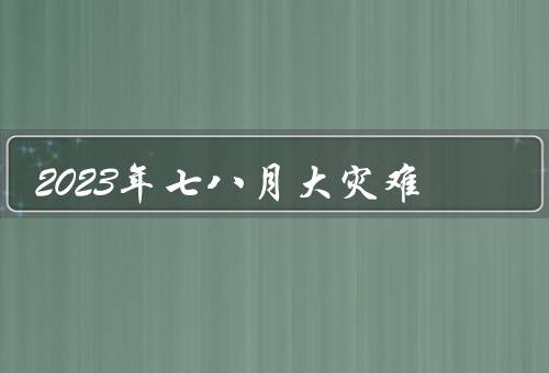 2023年七八月大灾难（气候异常、经济崩溃、人道主义危机）