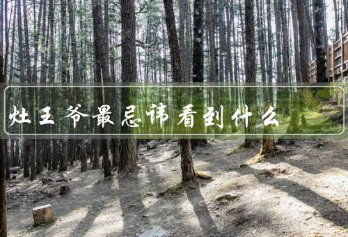 灶王爷最忌讳看到什么（损毁粮食／恶意欺骗／虐待动物）