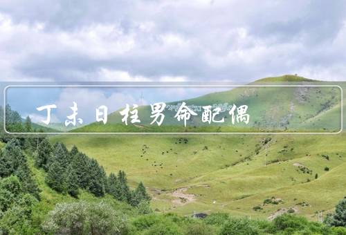 丁未日柱男命配偶，性格特点、寻找的特点、相处之道