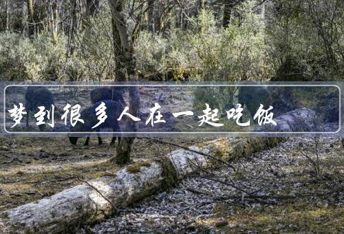 梦到很多人在一起吃饭，热闹非凡／增进感情／集体活动