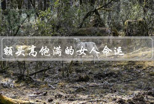 额头高饱满的女人命运，气质与智慧、事业成功、家庭幸福