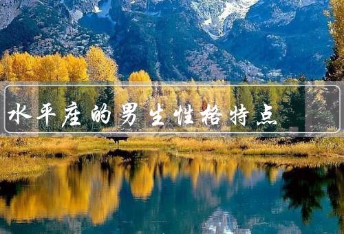 水平座的男生性格特点，直率坦诚／冷静理性／善于沟通